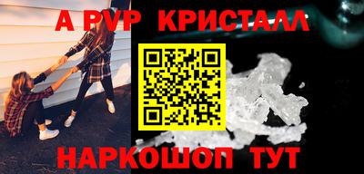 a pvp Новозыбков