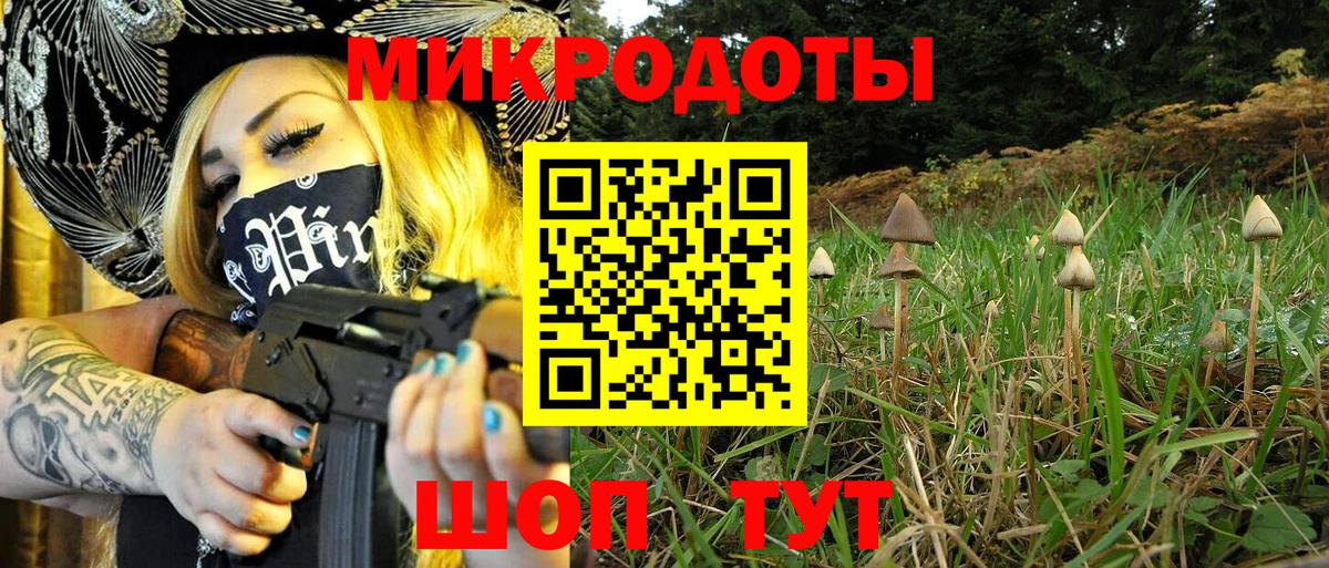 хочу наркоту  Псилоцибиновые грибы прущие грибы  Вход с VPN  Туймазы  Псилоцибиновые грибы Psilocybine cubensis 